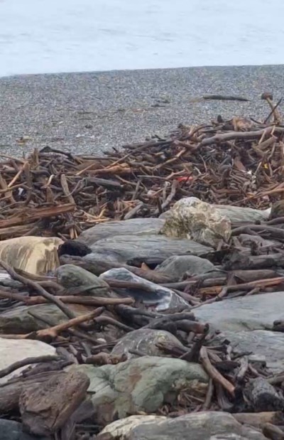 鳳凰颱風來襲花蓮啟動防災整備　撿拾公告同步終止